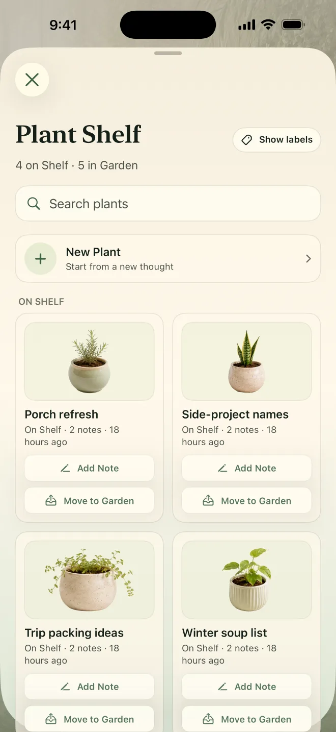 NoteGrove Plant Shelf showing plants kept outside the main Garden.